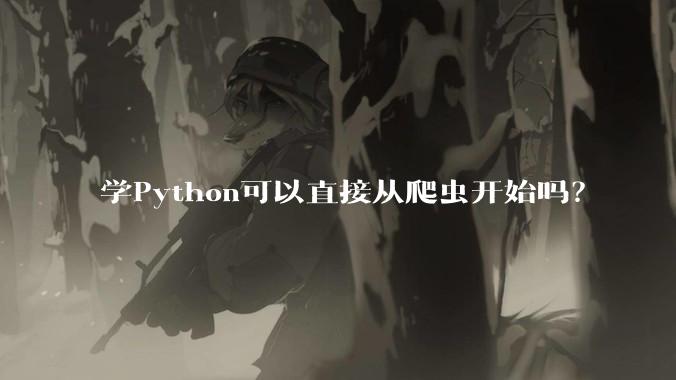 学Python可以直接从爬虫开始吗？