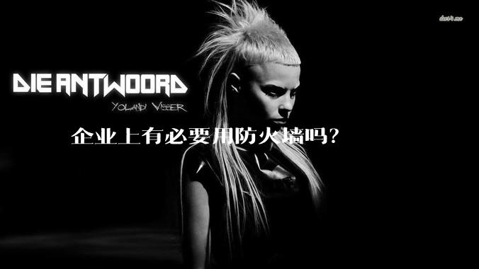 企业上有必要用防火墙吗？