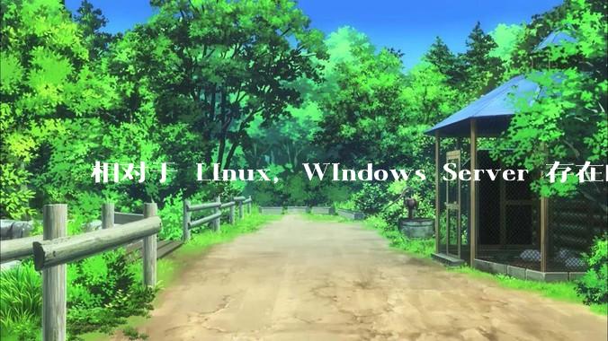相对于 Linux，Windows Server 存在的意义是什么？
