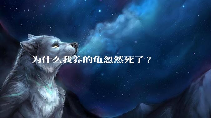 为什么我养的龟忽然死了?