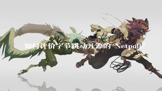如何评价字节跳动开源的 Netpoll？